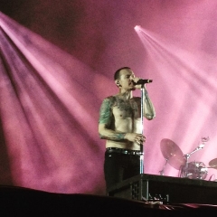 chester3