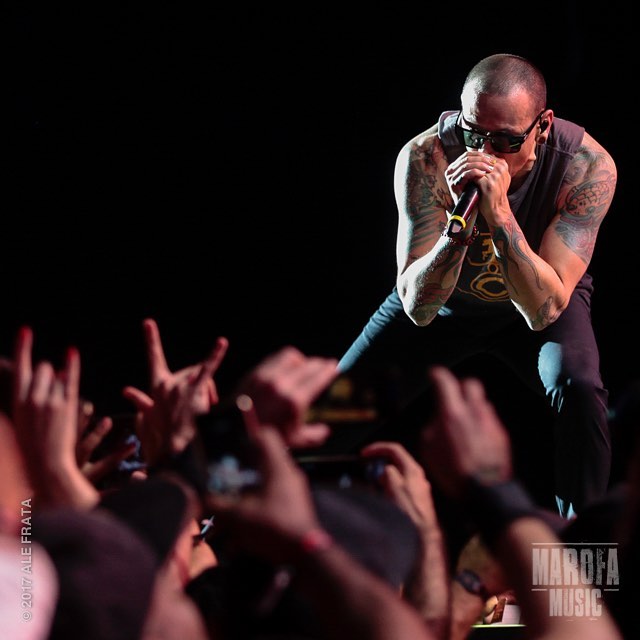 chester5