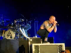 chester7