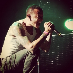 chester4