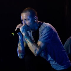 chester6